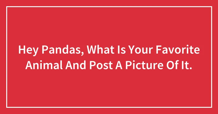 Hey Pandas, What Is Your Favorite Animal And Post A Picture Of It.