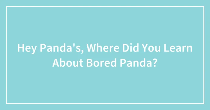 Hey Panda's, Where Did You Learn About Bored Panda?