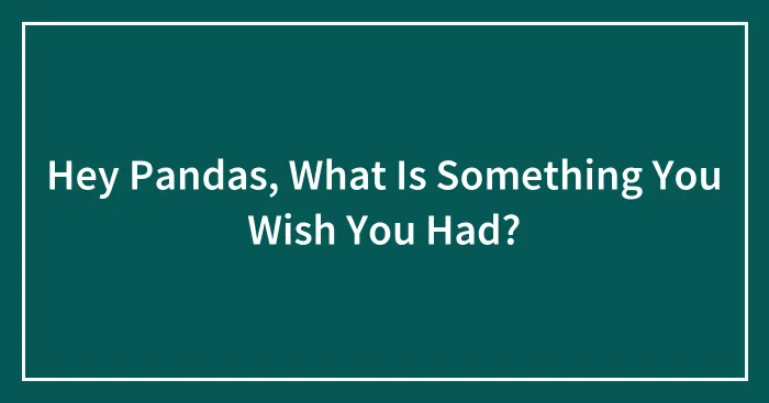 Hey Pandas, What Is Something You Wish You Had? (Closed)