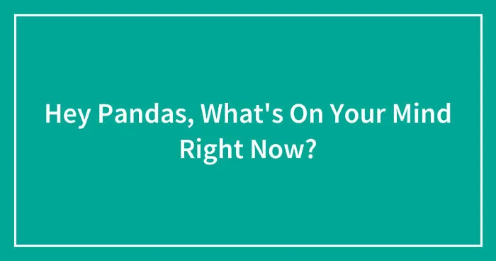 Hey Pandas, What's On Your Mind Right Now? (Closed)