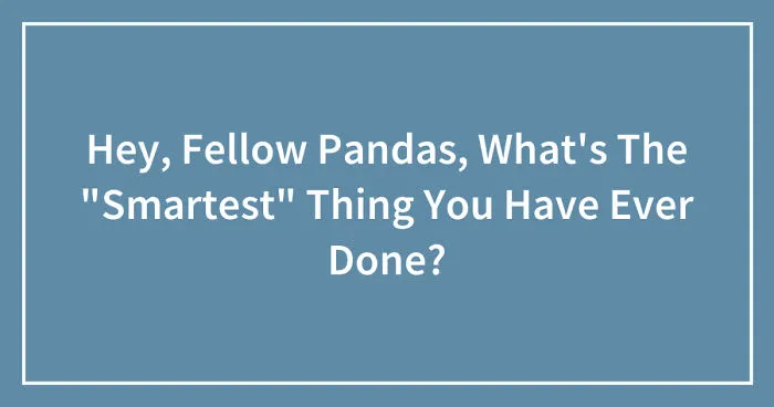 Hey, Fellow Pandas, What's The "Smartest" Thing You Have Ever Done? (Closed)