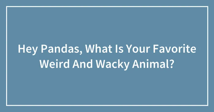Hey Pandas, What Is Your Favorite Weird And Wacky Animal? (Closed)