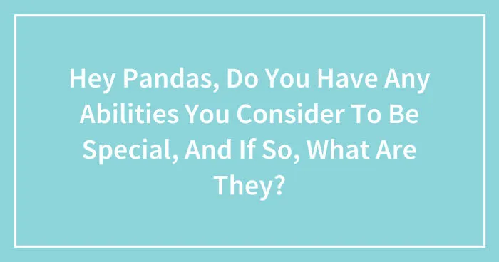 Hey Pandas, Do You Have Any Abilities You Consider To Be Special, And If So, What Are They? (Closed)