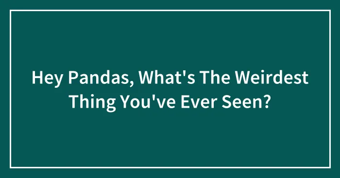 Hey Pandas, What's The Weirdest Thing You've Ever Seen? (Closed)