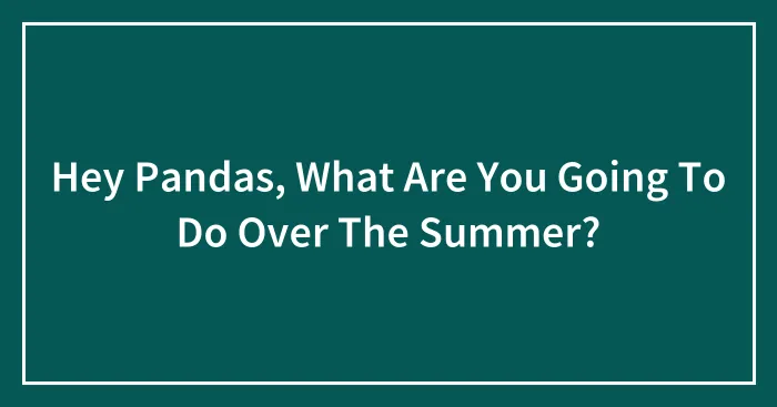 Hey Pandas, What Are You Going To Do Over The Summer? (Closed)