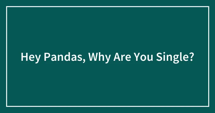 Hey Pandas, Why Are You Single? (Closed)