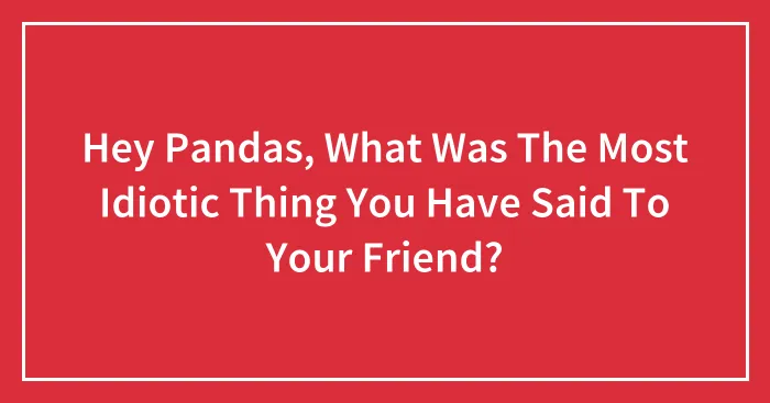 Hey Pandas, What Was The Most Idiotic Thing You Have Said To Your Friend?