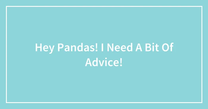 Hey Pandas! I Need A Bit Of Advice!