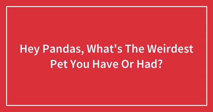 Hey Pandas, What's The Weirdest Pet You Have Or Had? (Closed)