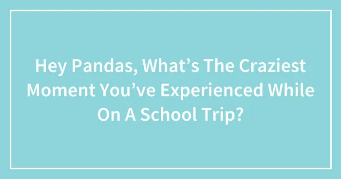 Hey Pandas, What’s The Craziest Moment You’ve Experienced While On A School Trip? (Closed)