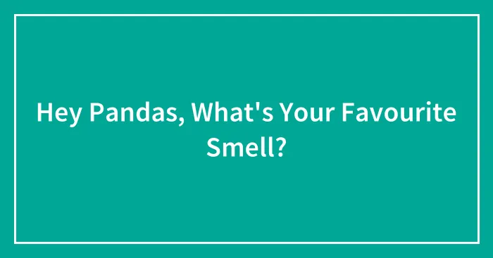 Hey Pandas, What's Your Favourite Smell? (Closed)