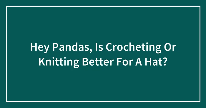 Hey Pandas, Is Crocheting Or Knitting Better For A Hat?