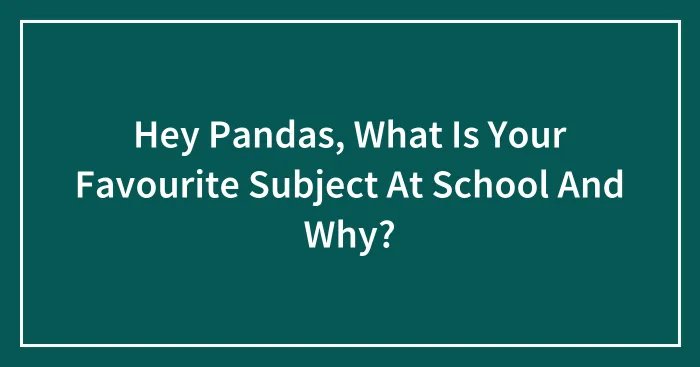 Hey Pandas, What Is Your Favourite Subject At School And Why?