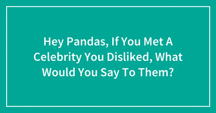 Hey Pandas, If You Met A Celebrity You Disliked, What Would You Say To Them? (Closed)