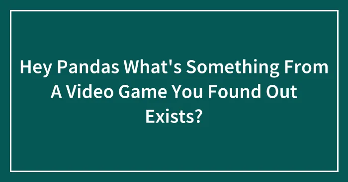Hey Pandas What's Something From A Video Game You Found Out Exists?