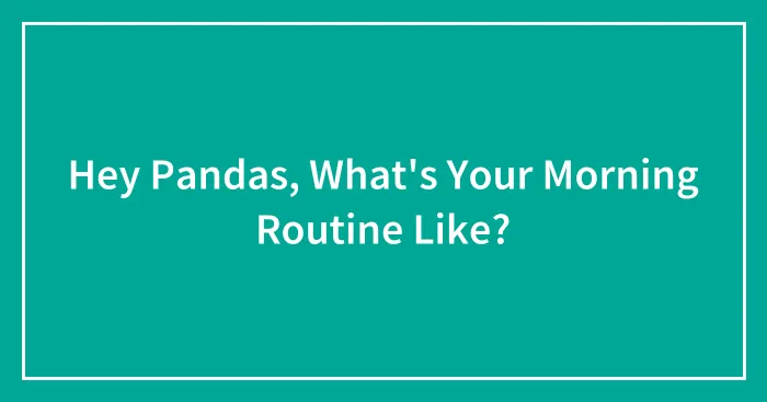 Hey Pandas, What's Your Morning Routine Like? (Closed)