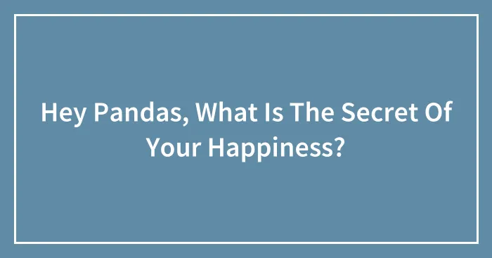 Hey Pandas, What Is The Secret Of Your Happiness? (Closed)