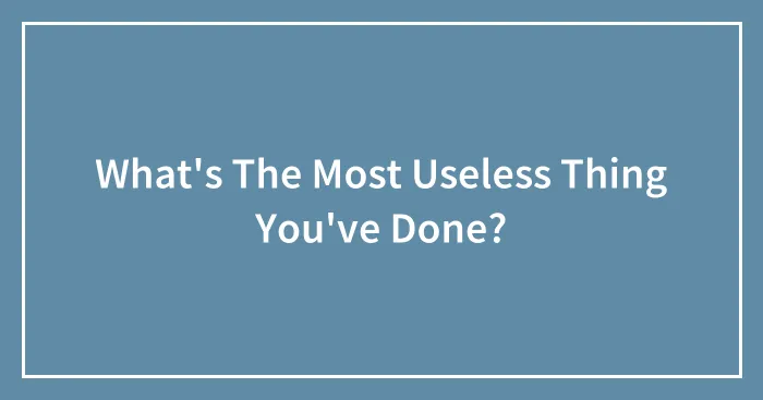 What's The Most Useless Thing You've Done?