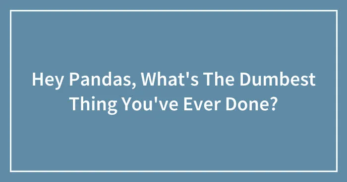 Hey Pandas, What's The Dumbest Thing You've Ever Done? (Closed)