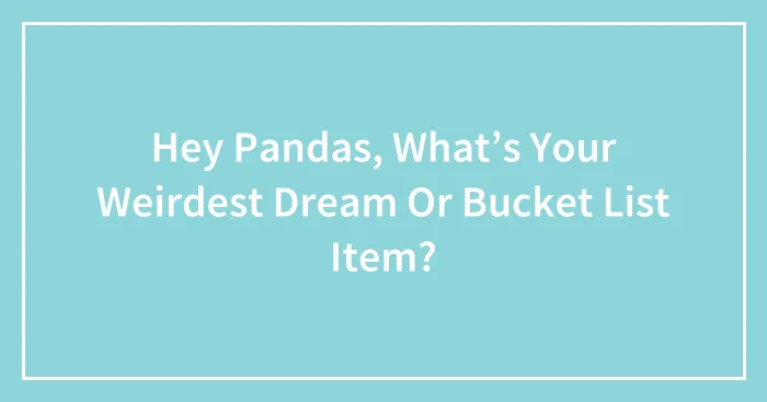 Hey Pandas, What’s Your Weirdest Dream Or Bucket List Item?