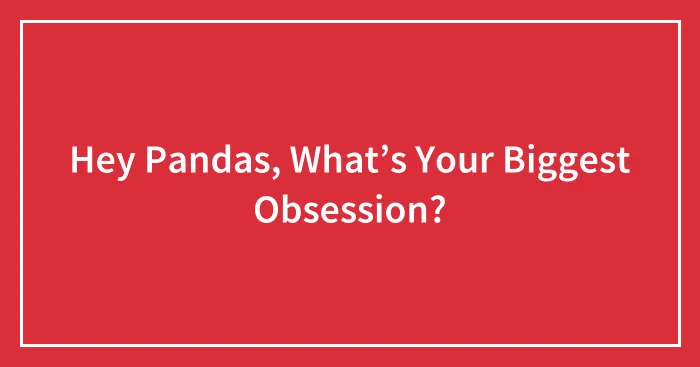 Hey Pandas, What’s Your Biggest Obsession? (Closed)