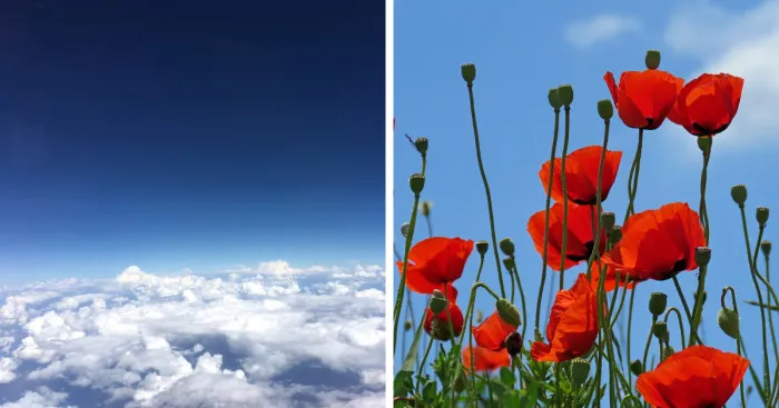 Hey Pandas, Share The Best Blue Sky Photo You've Ever Taken (Closed)