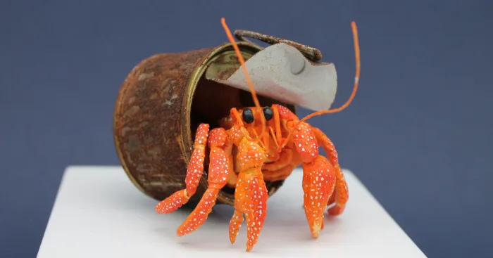 I've Created These Animal Sculptures To Show The Consequences Of Ocean Pollution