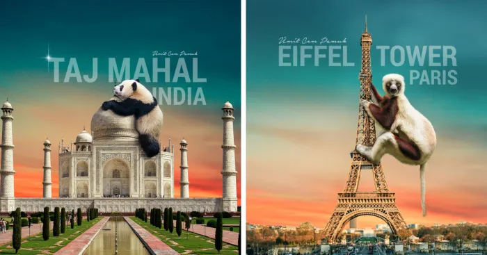 I Make Surreal Photo Manipulations Of Famous Landmarks And Animals