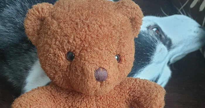 Hey Pandas, Share Your Family’s Most Cherished Heirloom (Closed)