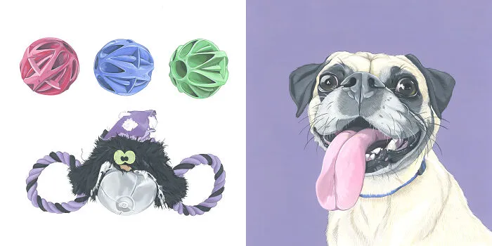 Fred Loves Two Things In Life: These Plastic Balls And This Weird Spider Rope Toy