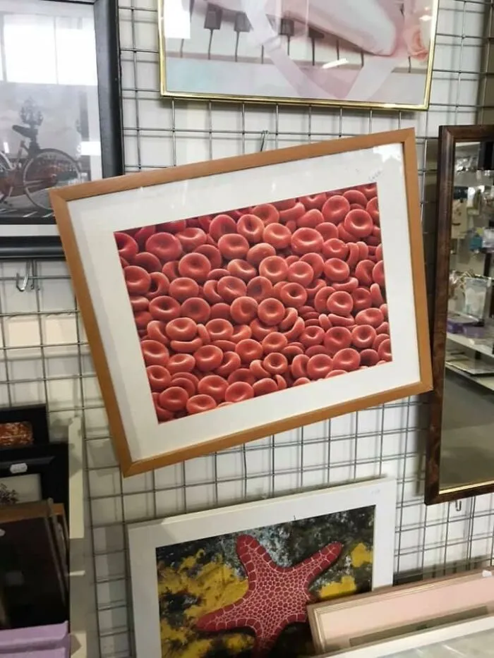 Finally Found Something Worthy I Hope... In St Vincent’s Bunbury West Australia For $6… Lovely Pic Of... Red Blood Cells??
