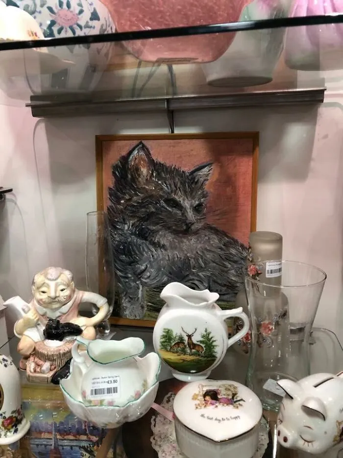 So Excited For My First Post That I Almost Forgot To Take The Name Of The Actual Charity Shop! Petrifying Puss - Found In Lighthouse - Buxton, Derbyshire