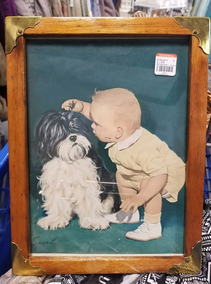I May Have Had The Same Expression As The Dog Upon Spotting This Gem. Goodwill, 6th Ave Tacoma Wa