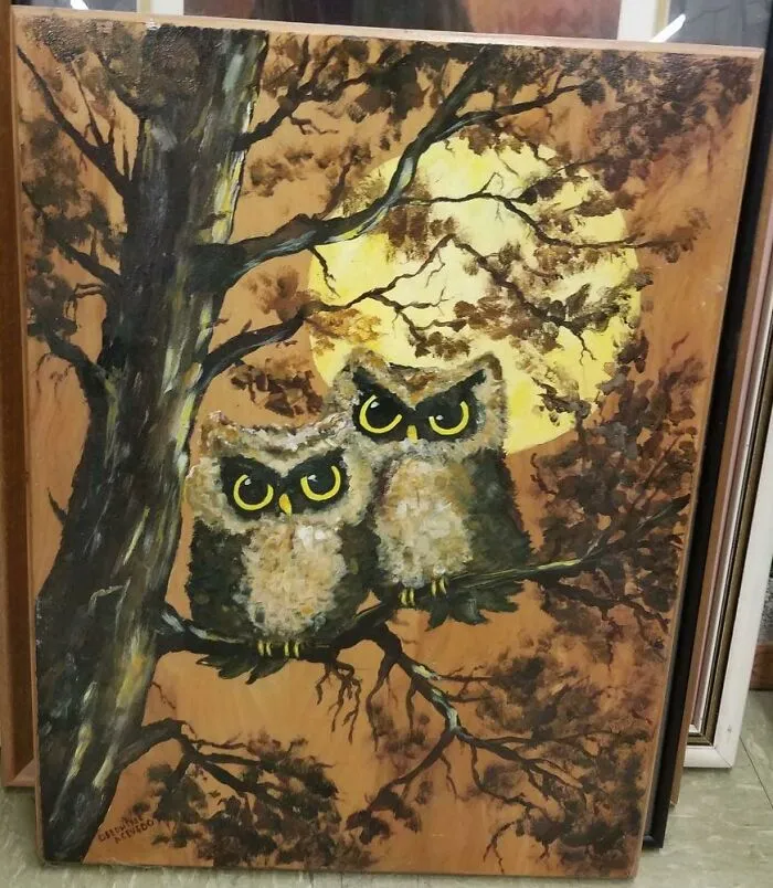 What Are These Owls Mad About? Unpriced, Chehalis, Wa. Thrift Store. I Left It There