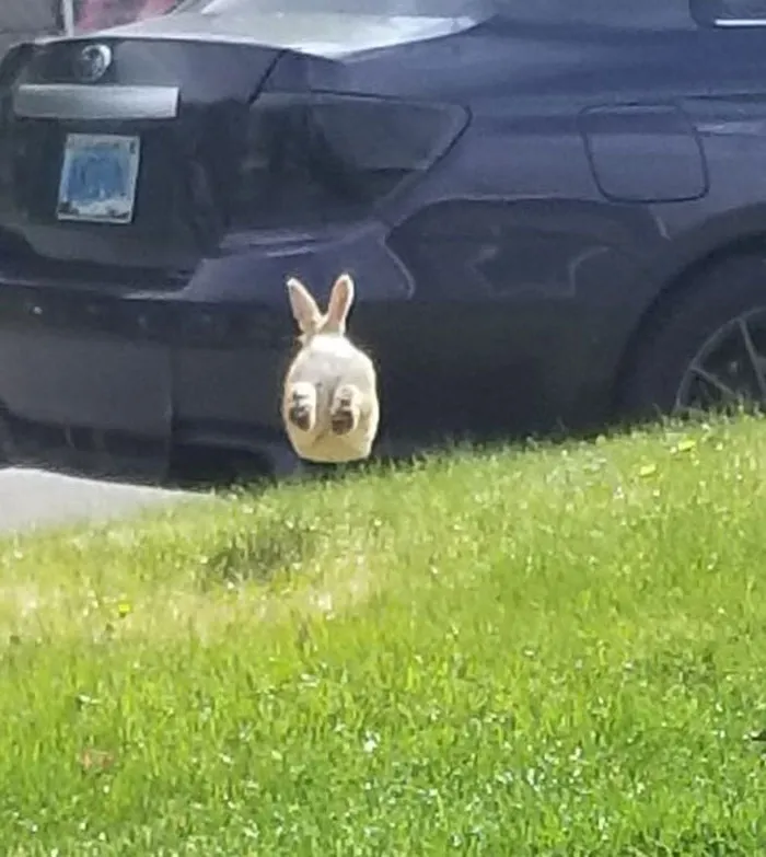 Snapped The Shot Just In Time