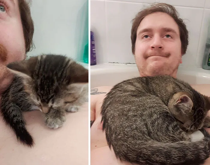 El primer día junto a mi gatita, tomé un baño. De alguna forma, ella consiguió meterse en la bañera y tomar una siesta sobre mi hombro