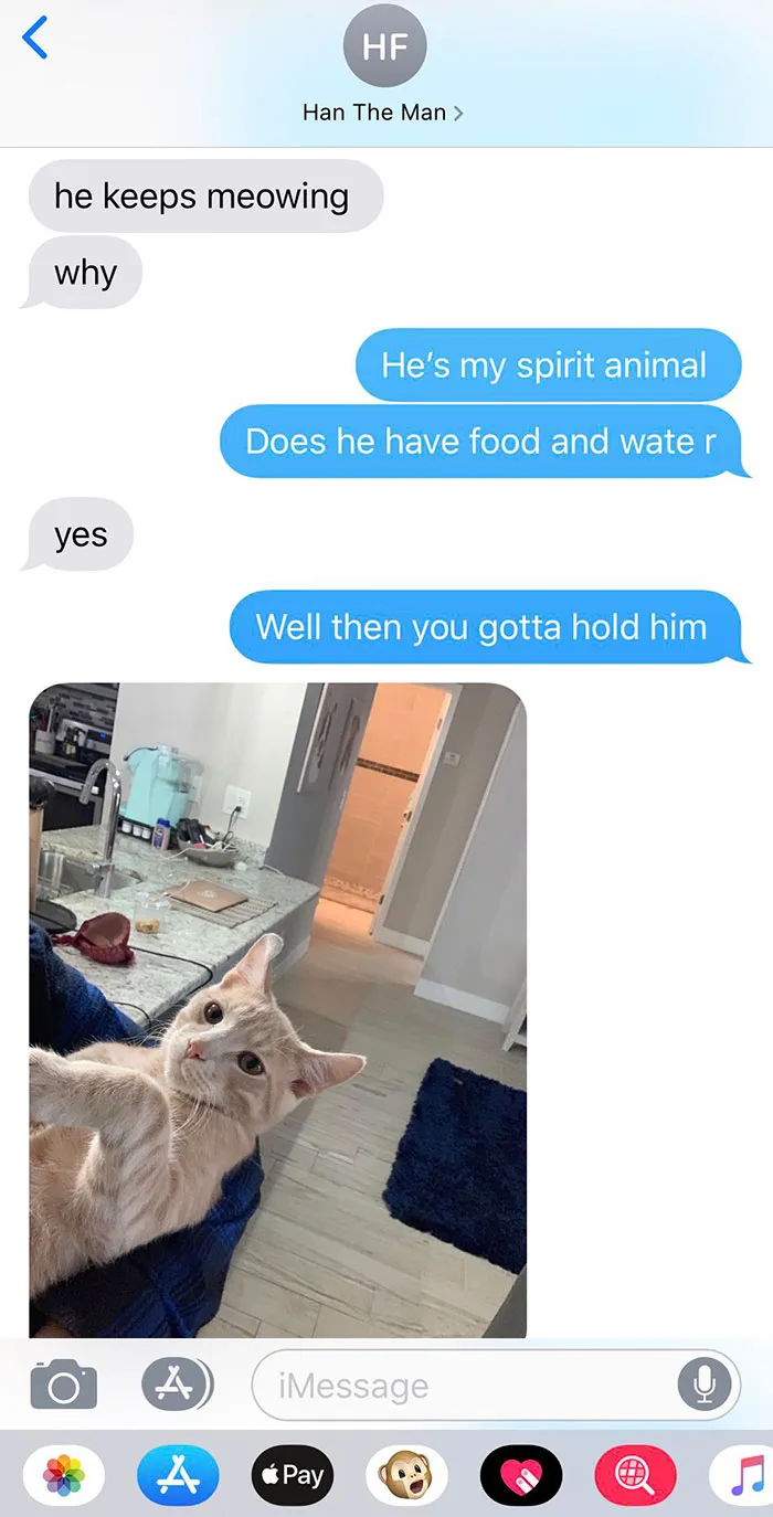 My Sister Is Babysitting My Cat, Benny. He’s Very Demanding
