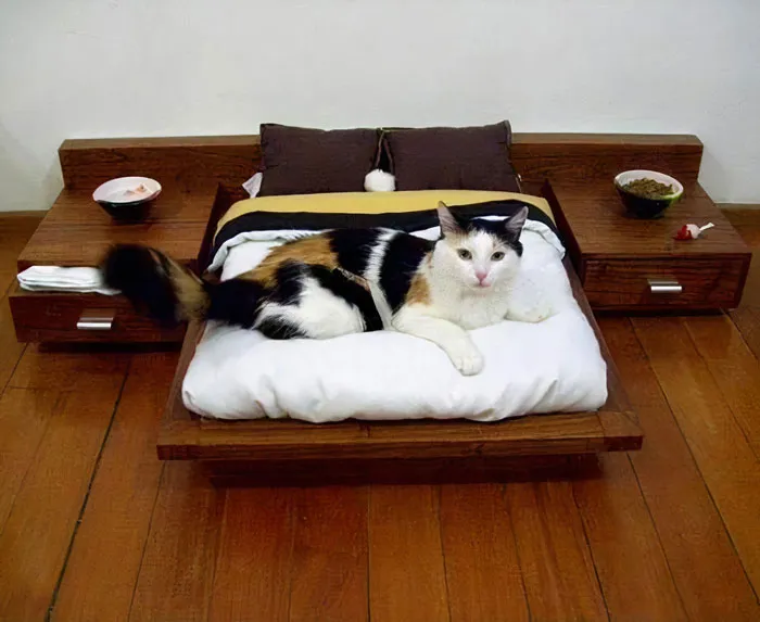 We Don't Spoil Our Cat