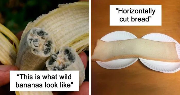 50 Times People Found Something Unsettling And Shared It On The "Thanks, I Hate It" Page