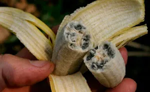 50 Times People Found Something Unsettling And Shared It On The "Thanks, I Hate It" Page