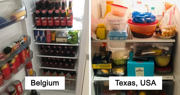"Let’s Take A Look Into Your Fridge": Pandas From All Over The World Show The Contents Of Their Fridge (29 Pics)