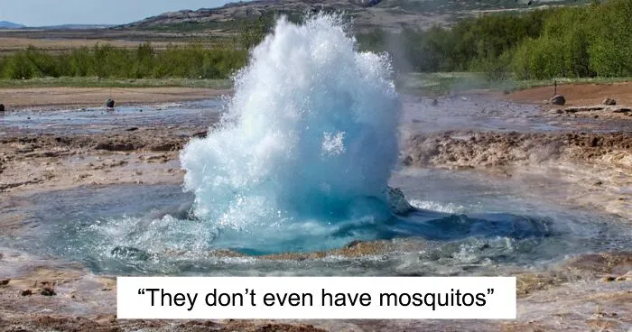 6 Facts About Iceland That You Might Not Have Heard Of Making It The Safest Country In The World, As Shared By This TikTok User