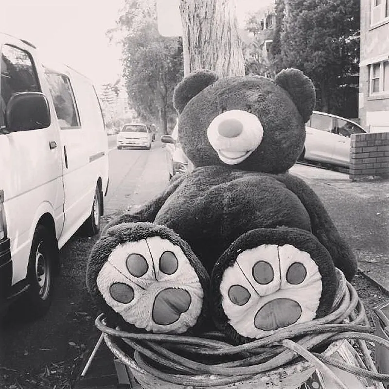 Homeless Toys