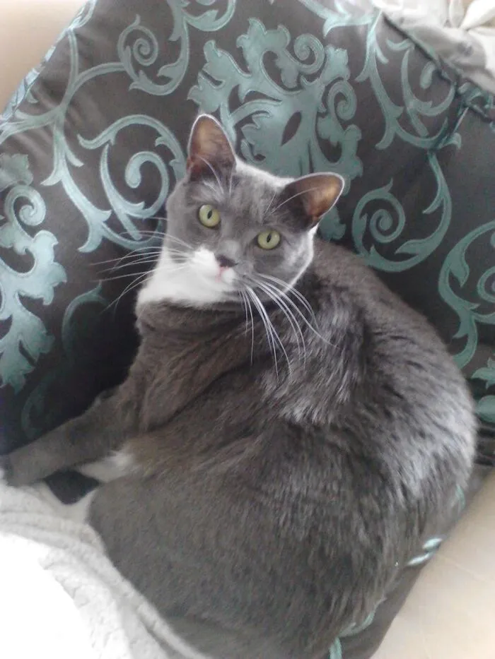 My Baby Girl Wolfsbane, Aka Wolfie, Named After The Flower