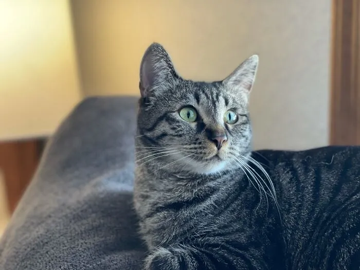 Lucy