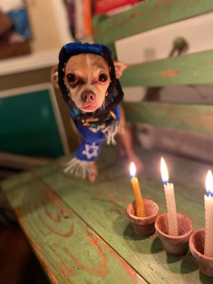 Chanukah
