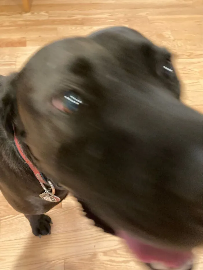 Him