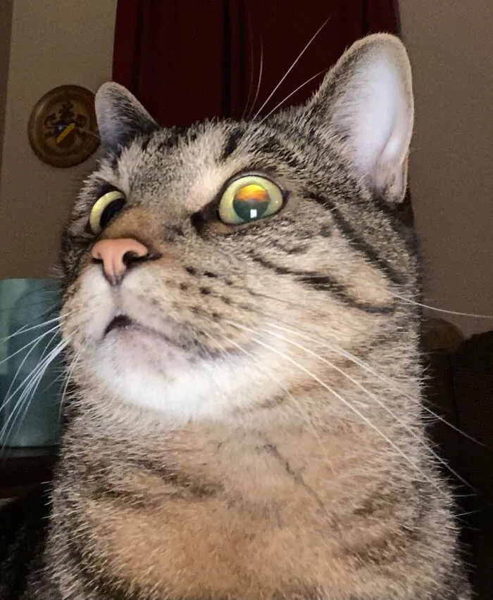 Someone Called?
