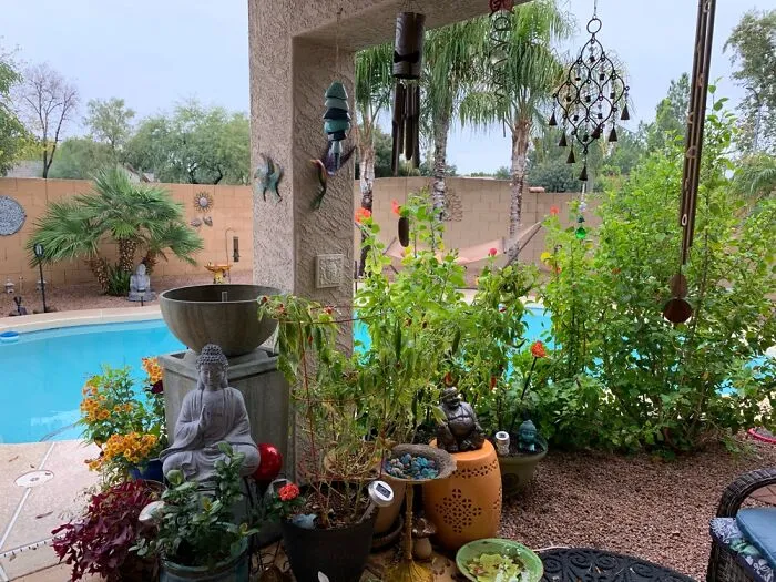 My Backyard By The Pool