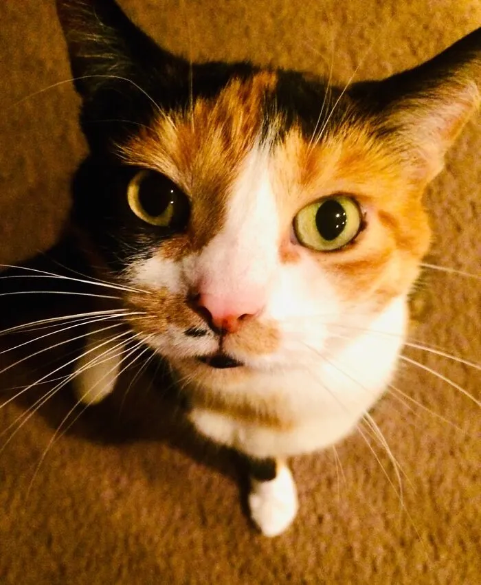 Her Name Is Princess Bubbles And She Is So, So Sweet!